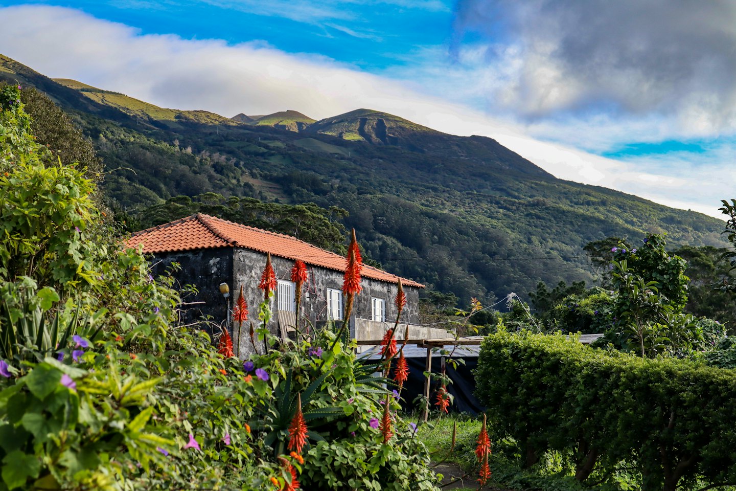 Casa rustica in pietra con tetto rosso su una collina verde.