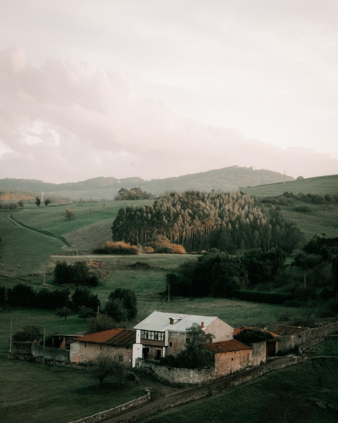 Colline verdi con case in pietra e una foresta.
