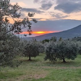 col-di-fiesole-chi-siamo-terra
