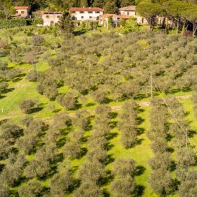 col-di-fiesole-contatti